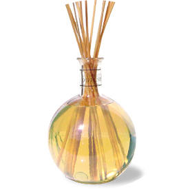 picture of oil diffuser with reeds